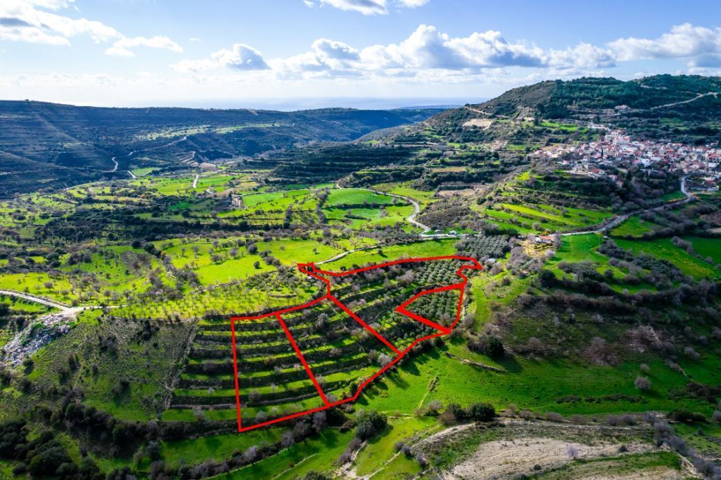 https://cache.vooxee.com/adverts/01/ry/01ryfwczvqxjjrxeikirxzqb.jpg